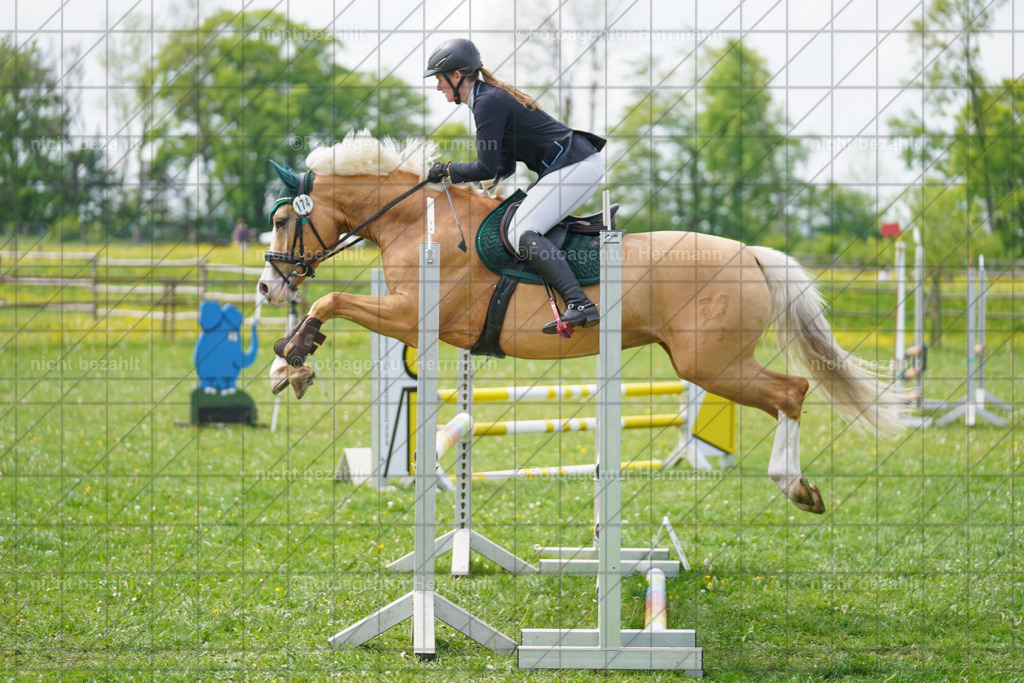 20240509-FAH02769 | Turnierbilder der Turnierfotografen Bayern, Pferdesport Fotografie, Reitsportbilder, Turnier Landberg am Lech, Turnierbilder bayern, Fotoagentur Herrmann