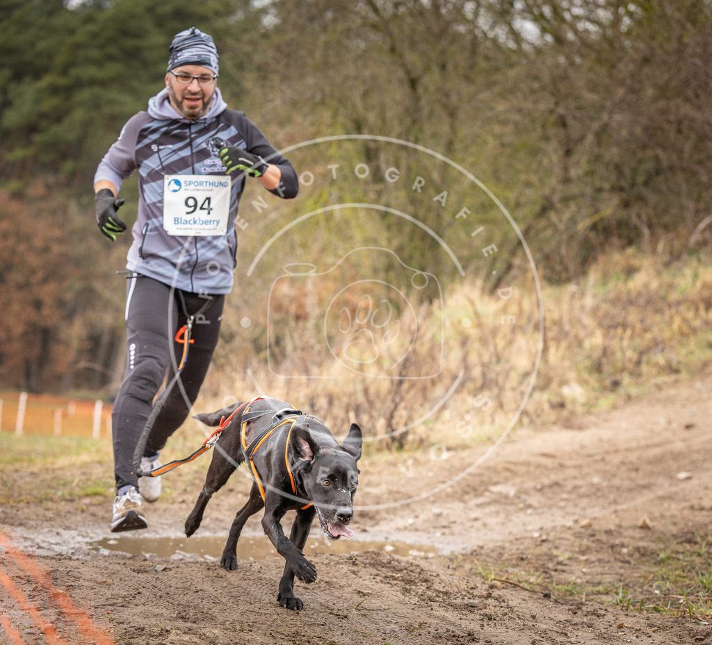 DV3A0514 | Hundefotografie, Tierfotograf, Pfotenfotografie, Fotoshooting Hund, Hunde Portrait, Hundesport, Hundeportraits, Heideshooting, Hunde, Sportfotograf, Hundefotograf, Turnierhundsport, THS,  - Realisiert mit Pictrs.com