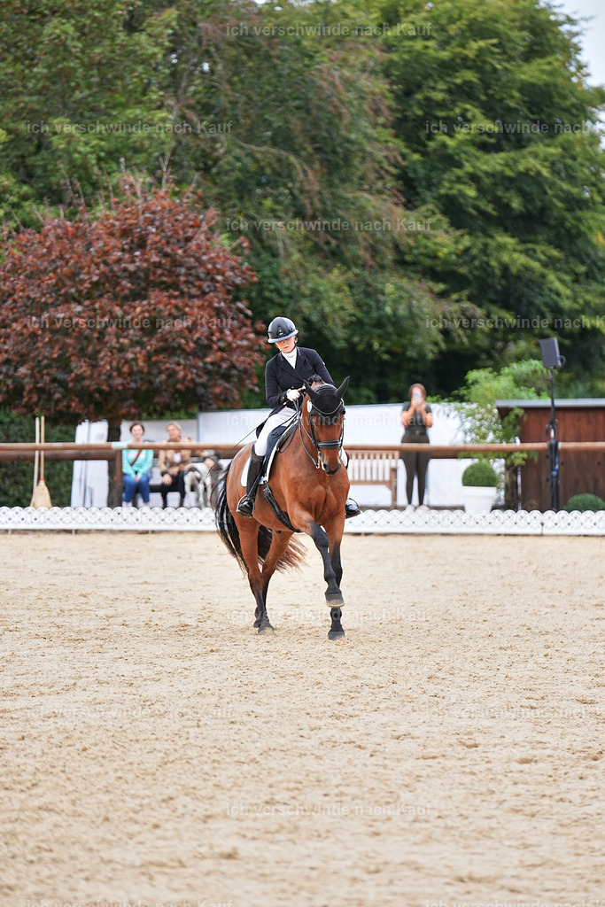 11-189-Dressur S___-Marixx-1788 | working equitationturnier fotograf videograf stoibphotography marixx film working equitation deutschland reitsport turnierfotografie eventfotografie equestrian events