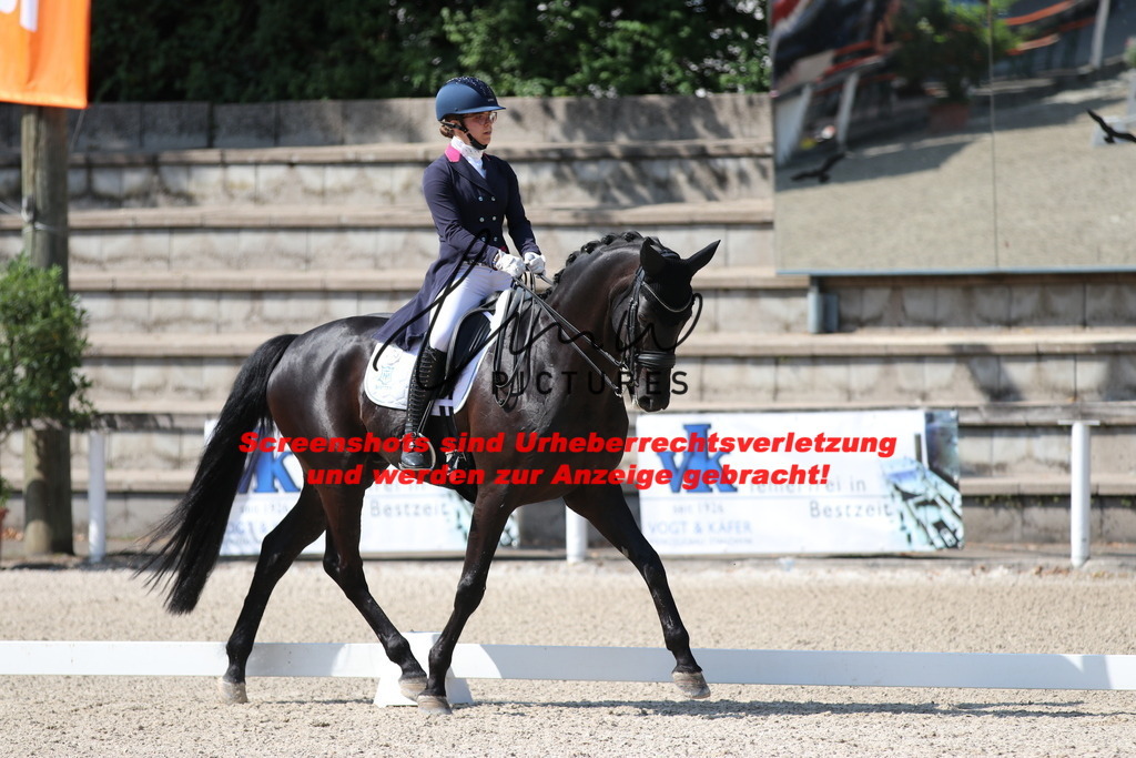 IMG_9459 | lmwpictures - Realisiert mit Pictrs.com