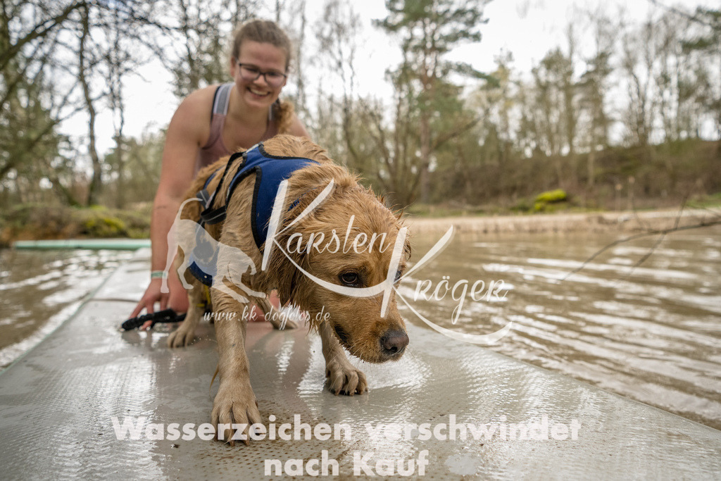 1021_ZZ93036-Bearbeitet | kk-dogfotos