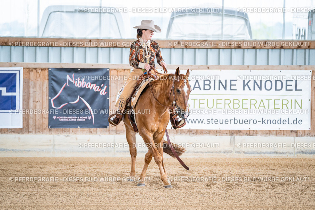 DSC07849 | Pferdegrafie