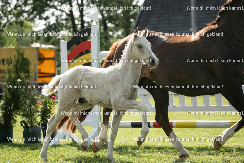 598A6885 | photographylinaismer - Realisiert mit Pictrs.com
