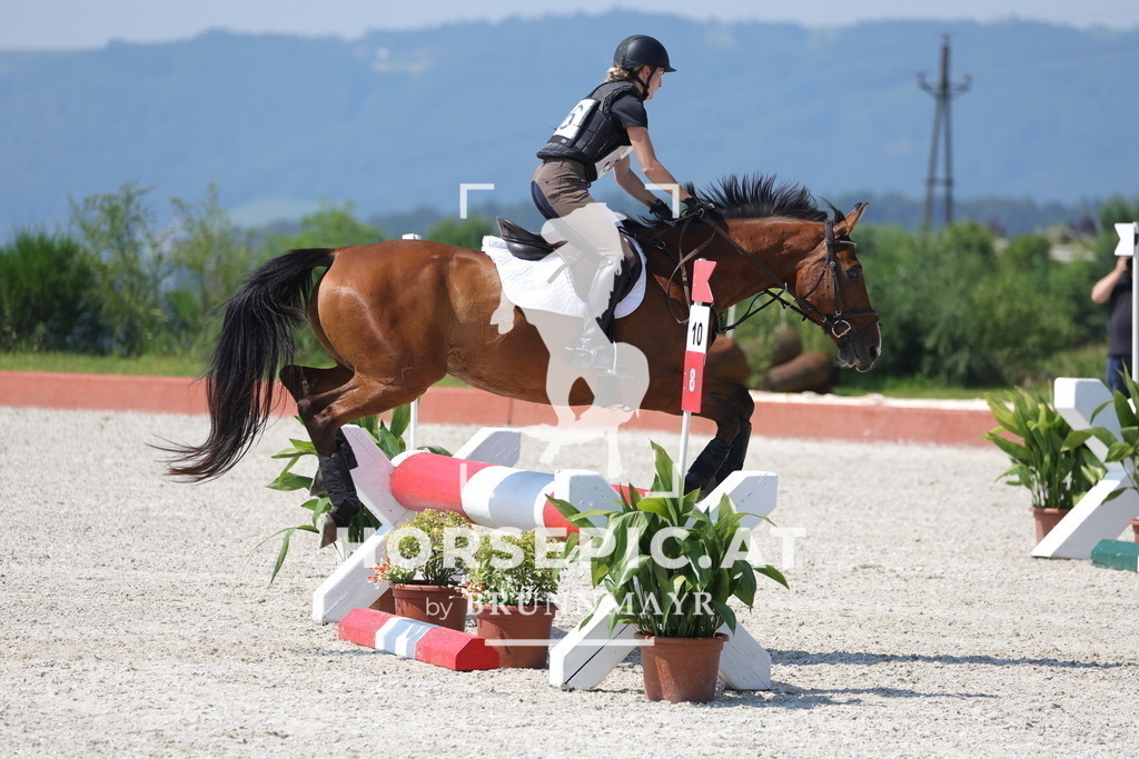 0P6A7898 | Willkommen bei Brunnmayr - Design & Fotografie – Ihrem Spezialisten für Reitturniere und Pferdeveranstaltungen in Oberösterreich, Salzburg und Bayern! Seit über 17 Jahren sind wir leidenschaftlich dabei.