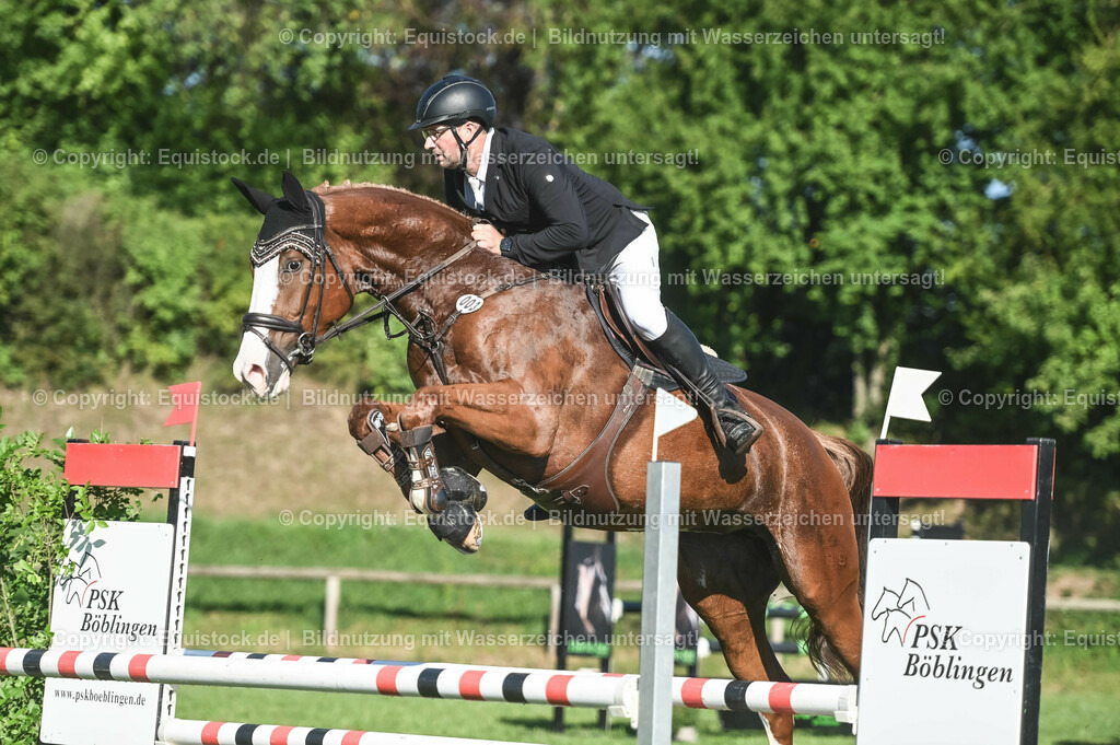 20230908_14-15_Springpferde-A_0095 | equistock
