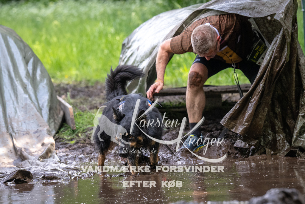1346_ZZ92163 | kk-dogfotos
