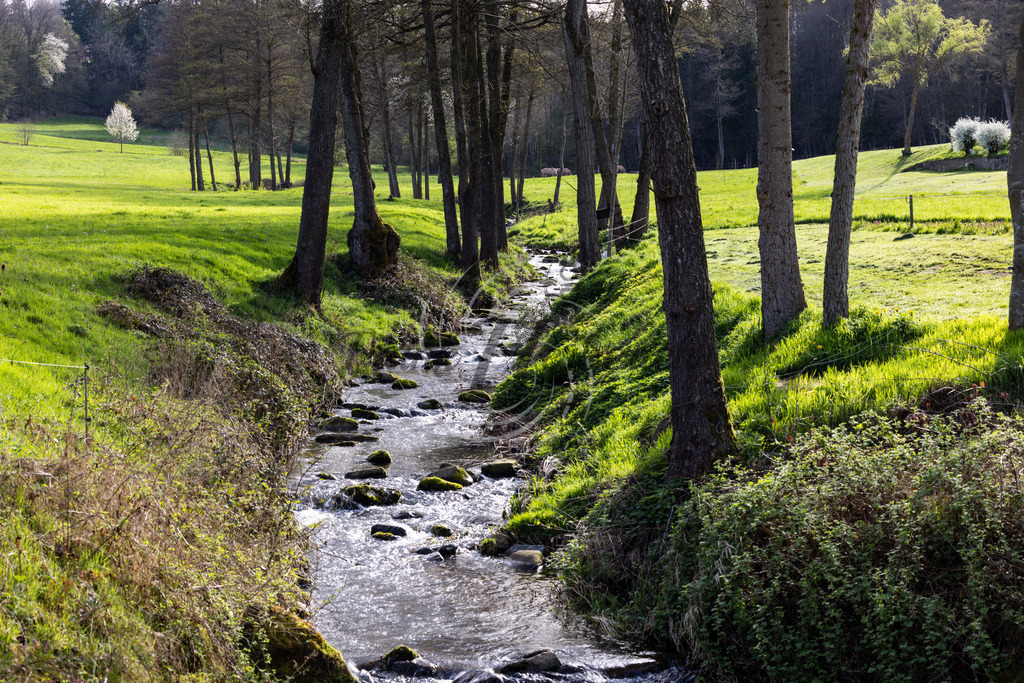 _X0A8634-Editbea | Frank Herberich Fotografie, Frank Herberich, Fotografie, Hochzeit, Portrait, St. Peter Ording, Ording, Westerhever, Nordsee, Frank Fotografie, Hardheim,  Odenwald,Walldürn, Band,Eventfotografie - Realisiert mit Pictrs.com