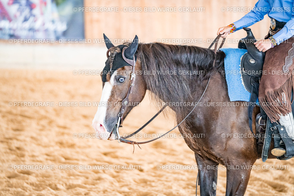 DSC09709 | Pferdegrafie