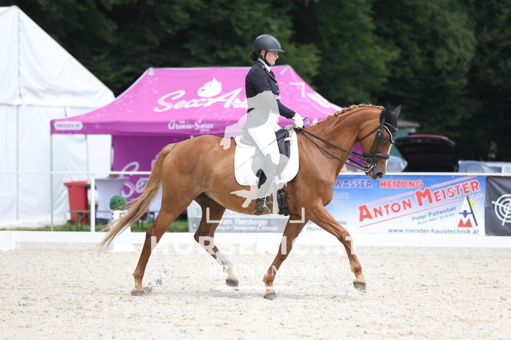0P6A4936 | Willkommen bei Brunnmayr - Design & Fotografie – Ihrem Spezialisten für Reitturniere und Pferdeveranstaltungen in Oberösterreich, Salzburg und Bayern! Seit über 17 Jahren sind wir leidenschaftlich dabei.