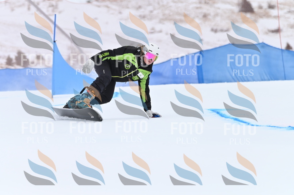 BGV_3446 | holidayphoto