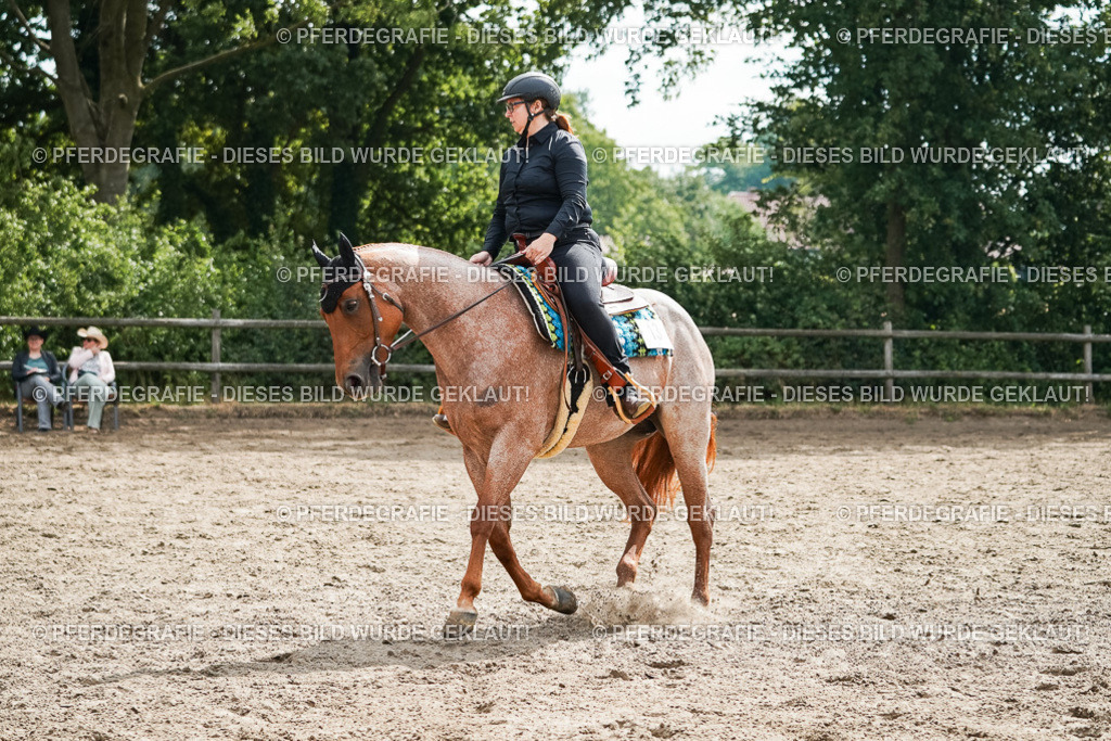 DSC04328 | Pferdegrafie