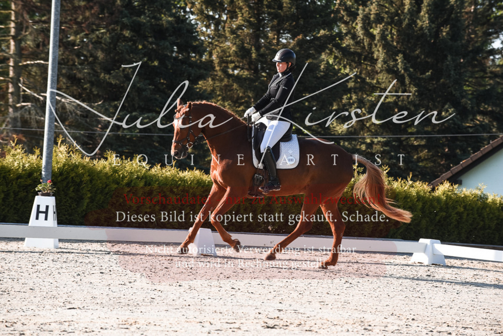 20230518_JK-Röhrsdorf-09-0137 | Pferde- und Turnierfotografie in Westsachsen. Pferdeportraits, Auftragszeichnungen und intuitive Kunst.