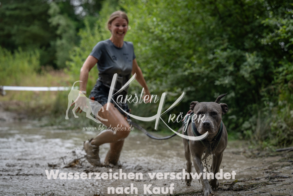 1438_ZZ92685 | kk-dogfotos