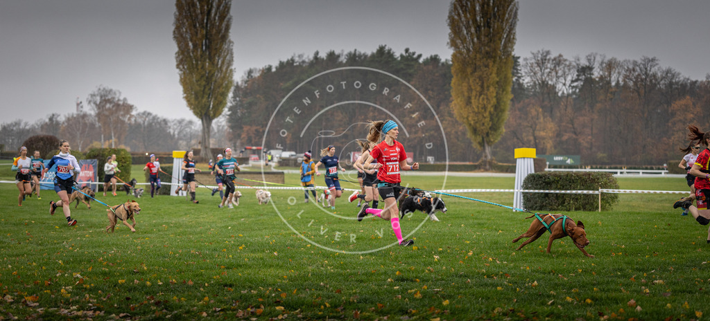 CaniXpix_DV3A8832 | Hundefotografie, Tierfotograf, Pfotenfotografie, Fotoshooting Hund, Hunde Portrait, Hundesport, Hundeportraits, Heideshooting, Hunde, Sportfotograf, Hundefotograf, Turnierhundsport, THS,  - Realisiert mit Pictrs.com