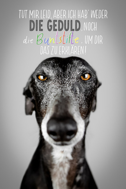 Nicos fehlende Buntstifte | "Tut mir Leid, aber ich hab' weder die Geduld, noch die Buntstifte, um dir das zu erklären!"