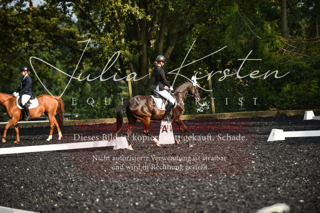 DSC_3395 | Pferde- und Turnierfotografie in Westsachsen. Pferdeportraits, Auftragszeichnungen und intuitive Kunst.