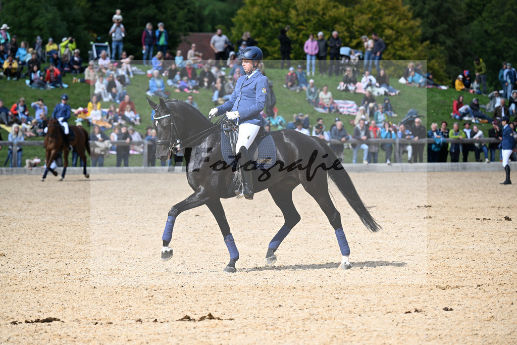 Berufsschaubild Pferdewirt_34251750 | hf-fotografie - Realisiert mit Pictrs.com