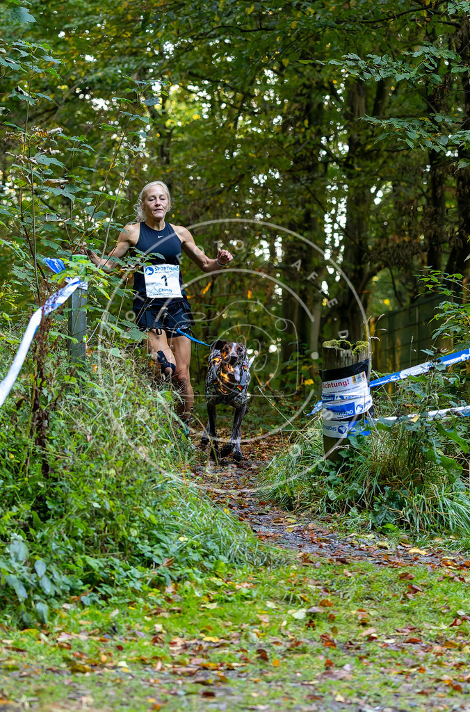Pfotenfotografie_DV3A6126 | Hundefotografie, Tierfotograf, Pfotenfotografie, Fotoshooting Hund, Hunde Portrait, Hundesport, Hundeportraits, Heideshooting, Hunde, Sportfotograf, Hundefotograf, Turnierhundsport, THS,  - Realisiert mit Pictrs.com
