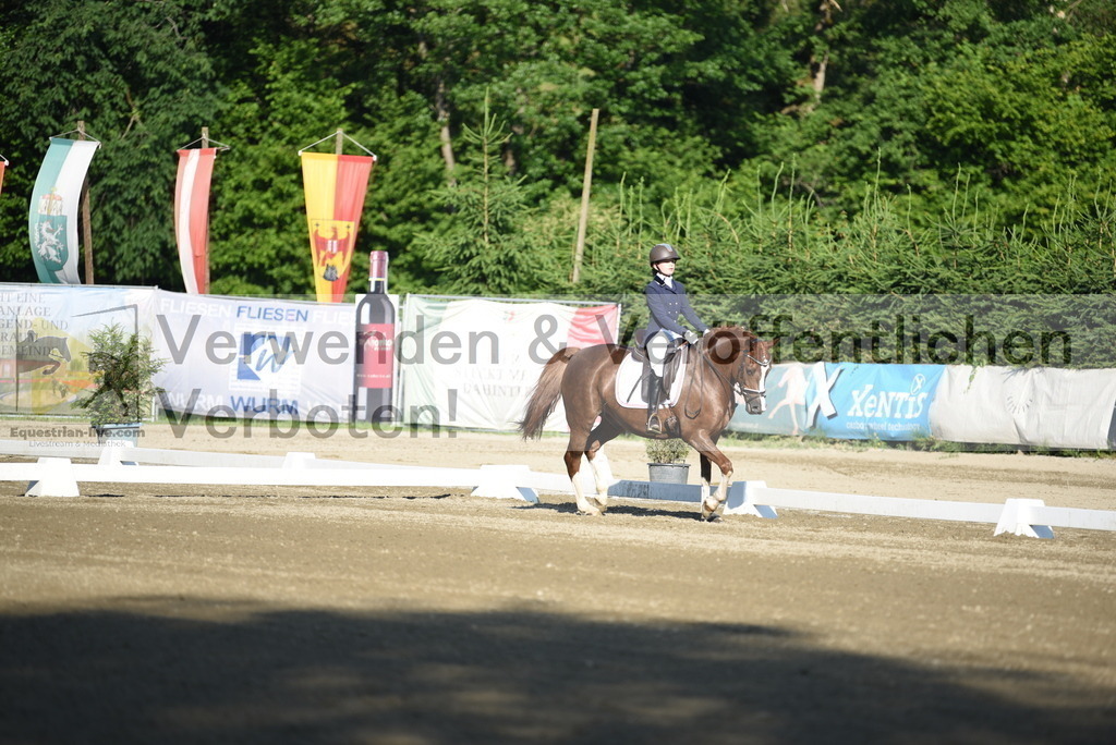 DSC_6775 | equestrian-live-com