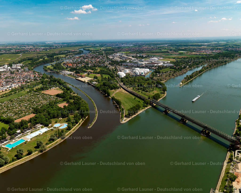 3108087 | Eisenbahnbrücke an der Mainmündung in den Rhein bei Mainz