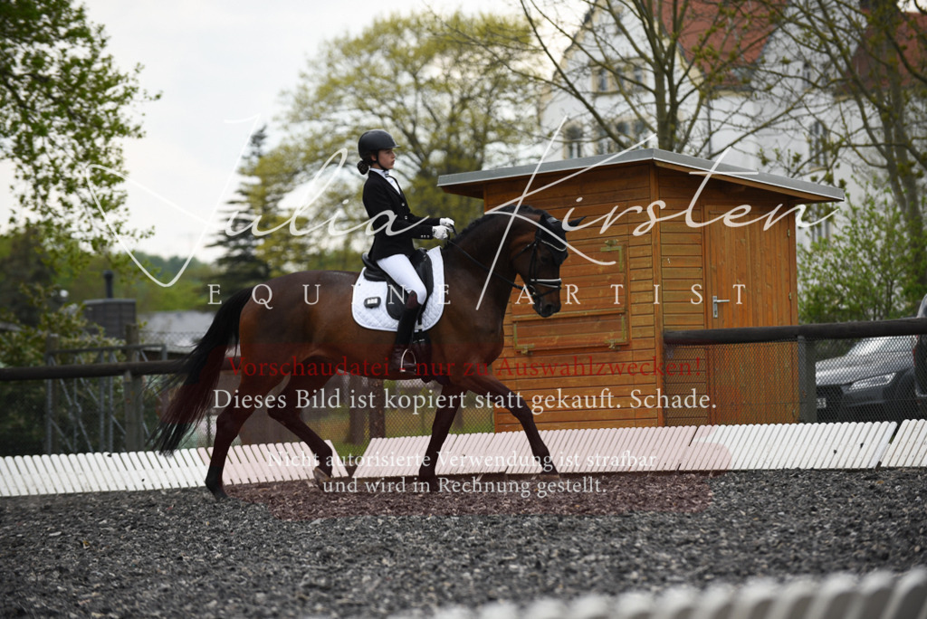 20230513_JK-Röhrsdorf-16-037 | Pferde- und Turnierfotografie in Westsachsen. Pferdeportraits, Auftragszeichnungen und intuitive Kunst.