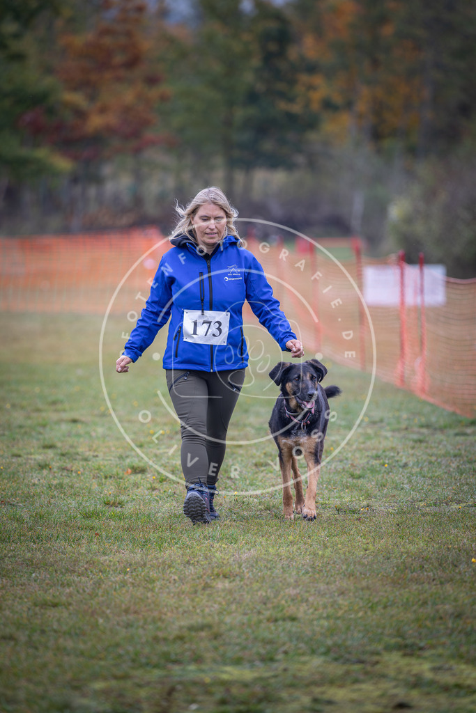 Pfotenfotografie_DV3A9578 | Hundefotografie, Tierfotograf, Pfotenfotografie, Fotoshooting Hund, Hunde Portrait, Hundesport, Hundeportraits, Heideshooting, Hunde, Sportfotograf, Hundefotograf, Turnierhundsport, THS,  - Realisiert mit Pictrs.com