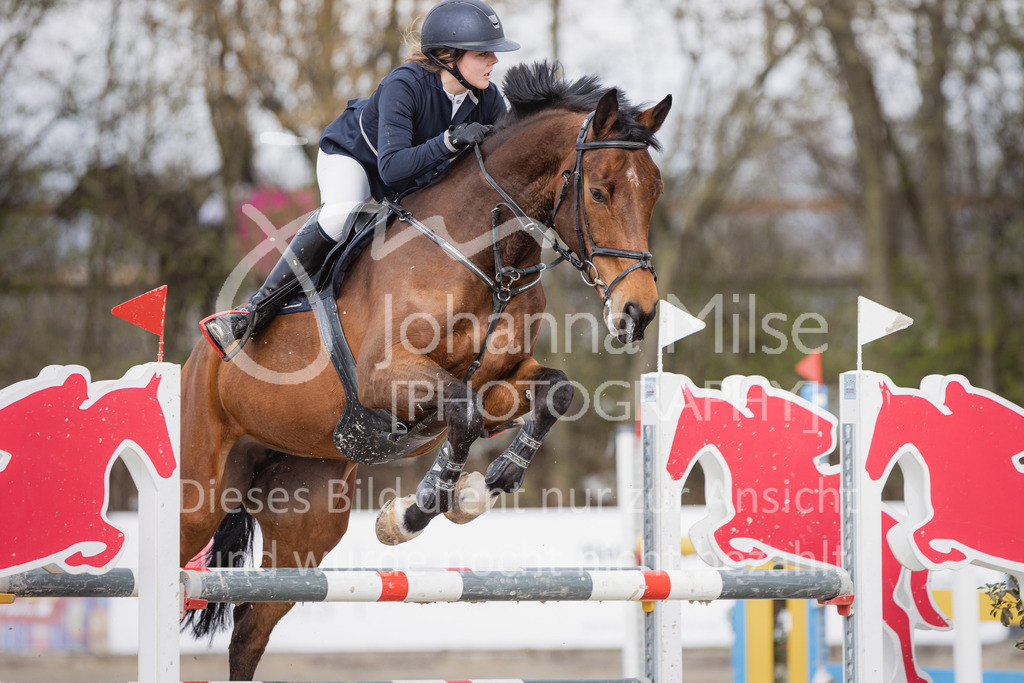 220403_HF-Laar_L-Spr-230 | SEASON OPENING 2022
Herford Laar
03.04.2022
11 Springprüfung Kl.L m.Siegerrunde