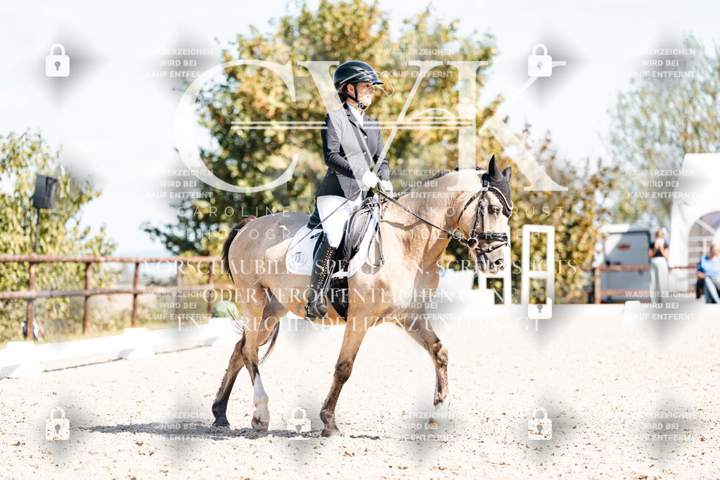 CK903819 | Turnierfotografie Pferdefotografie Trier Rheinland-Pfalz Pferdesport Reitsport Tierfotografie Sportfotografie Pferdevideo Pferdevideografie Equestrianvideography equestrianphotography  - Realisiert mit Pictrs.com