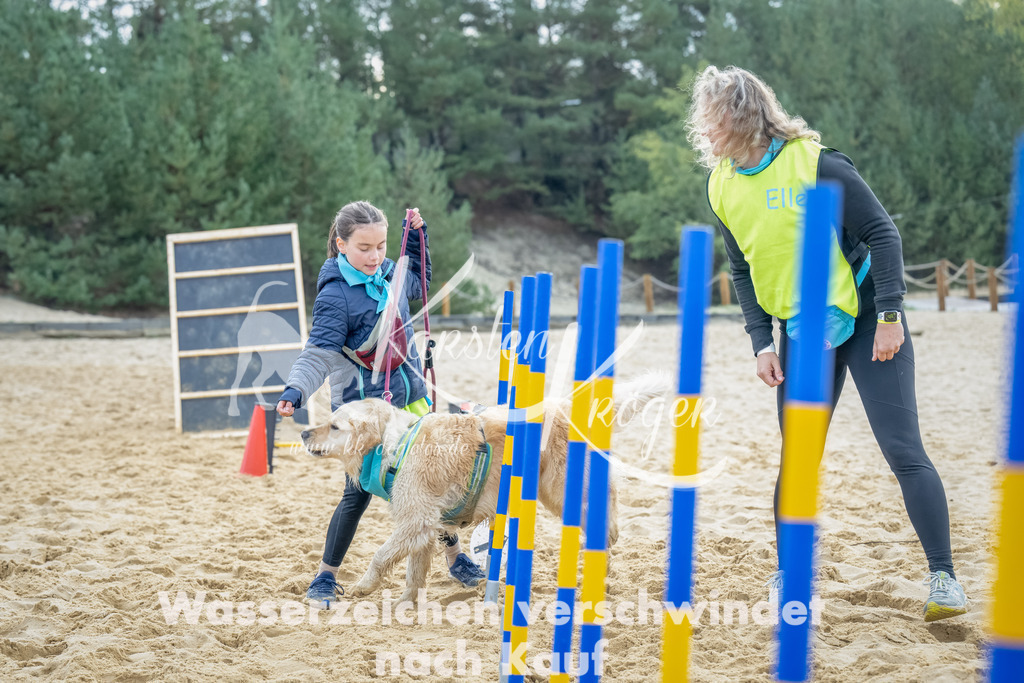 0918_ZZ92179-Bearbeitet-2 | kk-dogfotos