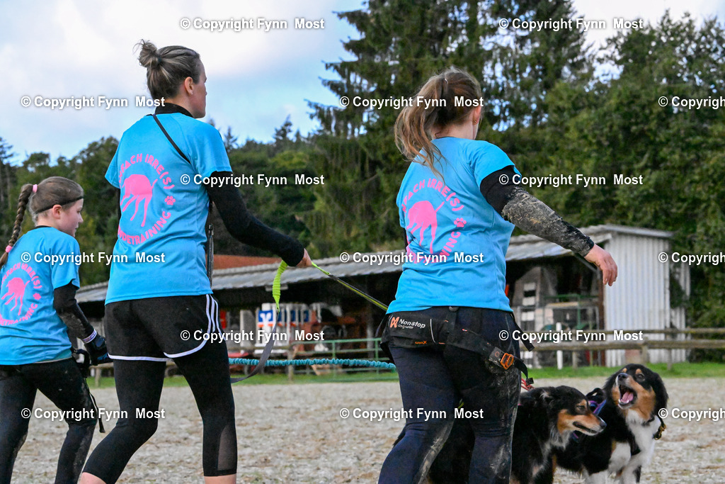 DSC_3185 | Hallo und herzlich Willkommen auf meiner Shop-Seite Fynn Most.

Ich wünsche Dir viel Spaß beim stöbern durch die Bilder, wenn Du Fragen hast oder Bilder vermisst, kannst du mir gerne eine Nachricht schreiben. - Realisiert mit Pictrs.com