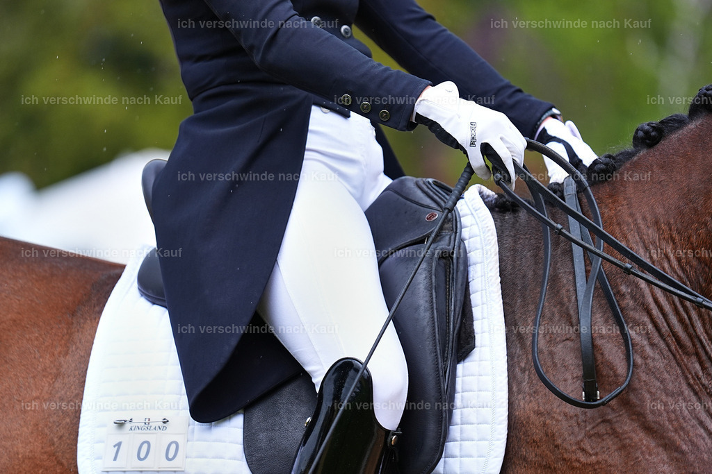 8_1-100-Klasse S_  -Marixx-4204 | working equitationturnier fotograf videograf stoibphotography marixx film working equitation deutschland reitsport turnierfotografie eventfotografie equestrian events