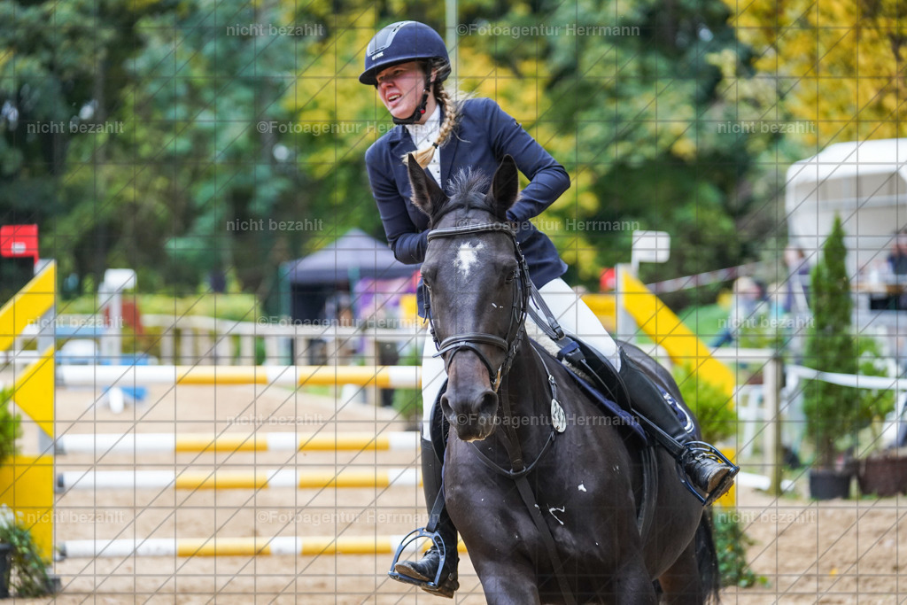 20221009-FAH08989 | Diessen am Ammersee, 2022, Dressur- und Springturnier, Reitsportbilder, Turnierfotografen Bayern, Pferdefotografen, Fotoagentur Herrmann, Turnierbilder