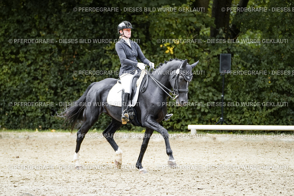 DSC02309 | Pferdegrafie