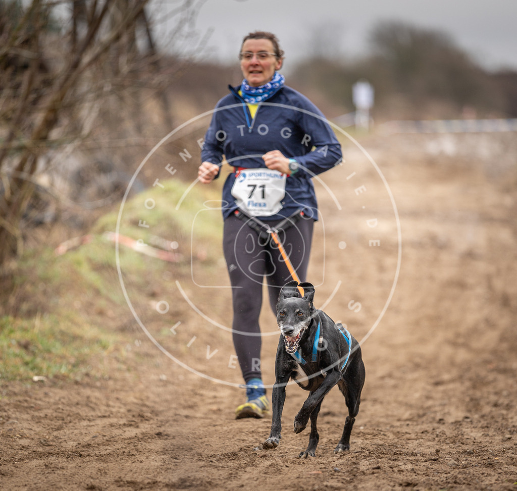 DV3A9643 | Hundefotografie, Tierfotograf, Pfotenfotografie, Fotoshooting Hund, Hunde Portrait, Hundesport, Hundeportraits, Heideshooting, Hunde, Sportfotograf, Hundefotograf, Turnierhundsport, THS,  - Realisiert mit Pictrs.com