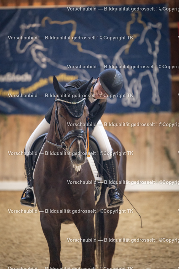 _D5A1565 | Emotionale Pferde- & People-Fotografie rund um Heidelberg, Leimen & Umgebung. Natürliche Fotos von Pferd, Mensch & Familie. Jetzt Termin sichern!