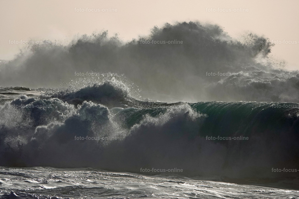 Wild Waves | Wild Waves Atlantic