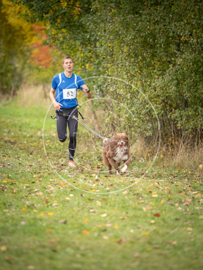 Pfotenfotografie_DV3A2499 | Hundefotografie, Tierfotograf, Pfotenfotografie, Fotoshooting Hund, Hunde Portrait, Hundesport, Hundeportraits, Heideshooting, Hunde, Sportfotograf, Hundefotograf, Turnierhundsport, THS,  - Realisiert mit Pictrs.com