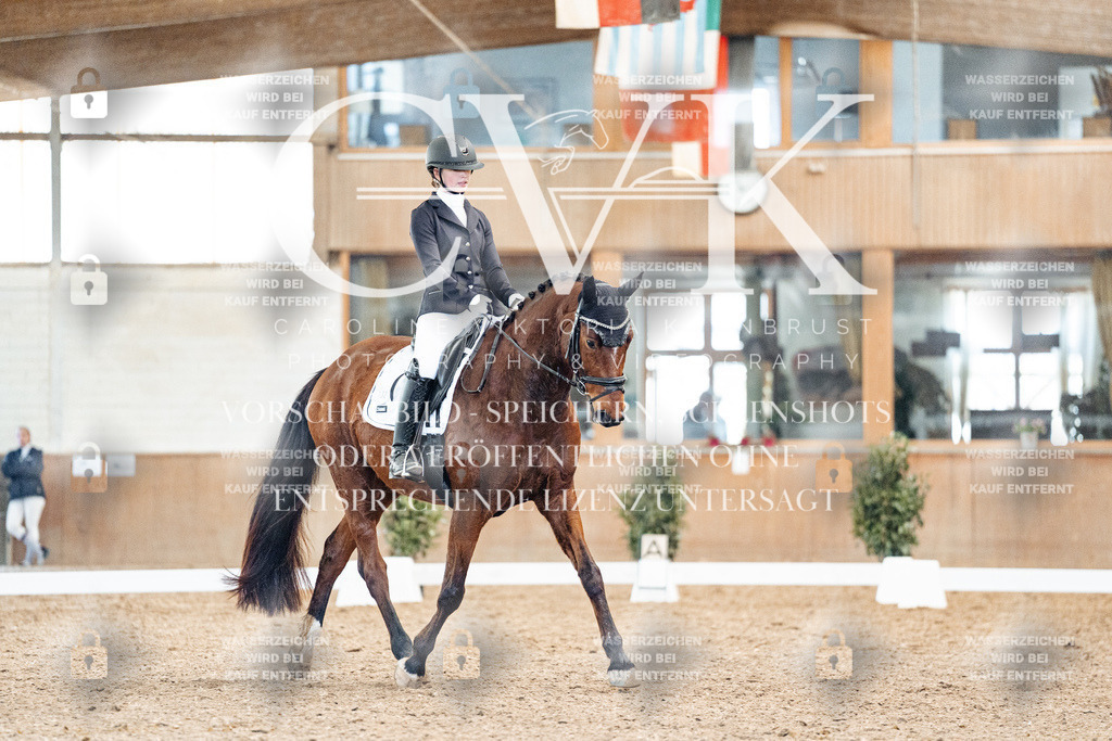 CK909234 | Turnierfotografie Pferdefotografie Trier Rheinland-Pfalz Pferdesport Reitsport Tierfotografie Sportfotografie Pferdevideo Pferdevideografie Equestrianvideography equestrianphotography  - Realisiert mit Pictrs.com