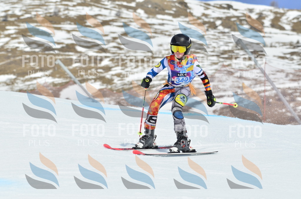 _ELE2544 | holidayphoto