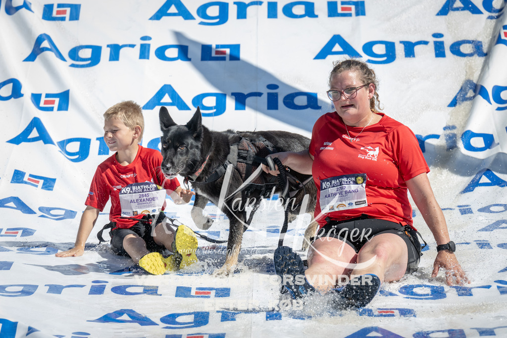 1151_ZZ94310 | kk-dogfotos