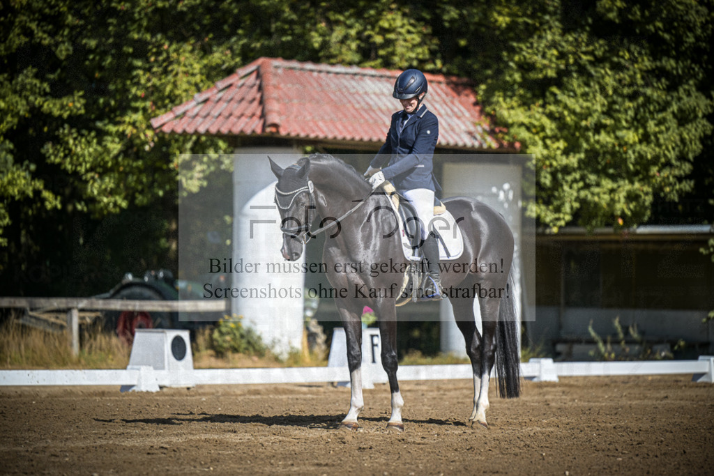 DOS_3728 | Entdecke hochwertige Reitturnierfotos von Foto Oger. Professionell, emotional und authentisch – jetzt Lieblingsmomente im Shop bestellen.Deutschlandweite Turnierfotografie. - Realisiert mit Pictrs.com