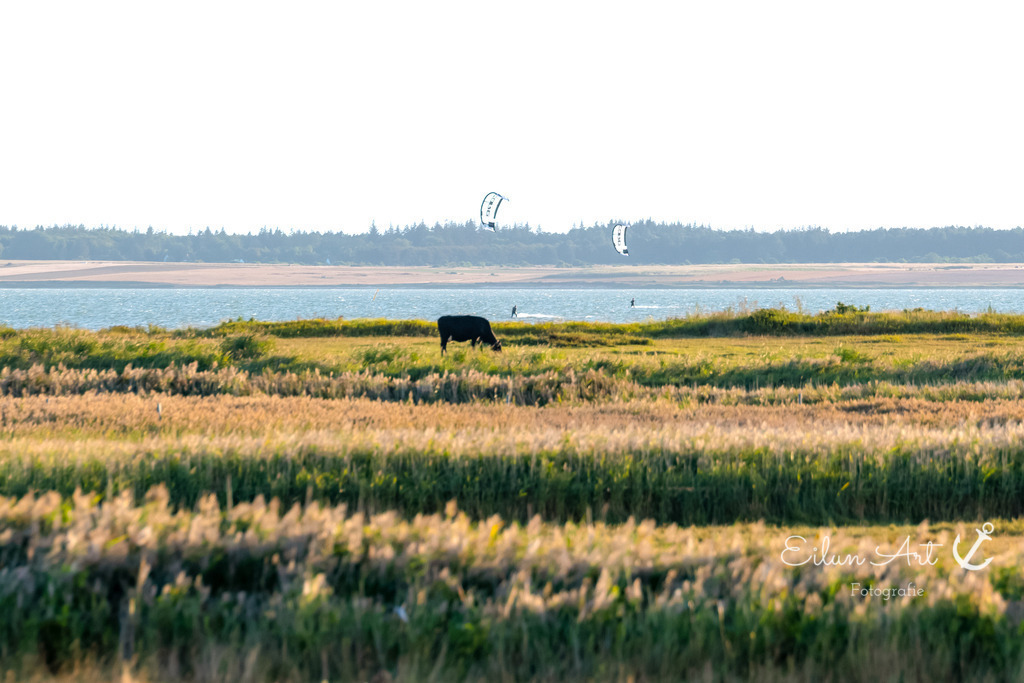 EAF_5226 | Eilun-Art-Fotografie Levke Martens, ihre Fotografin für Immobilien- und Landschaftsfotografie auf Föhr, Föhrer Motive als Poster, Leinwand, hinter Acrylglas oder stelle dir deinen eigenen Monatskalender zusammen, mit nur einem Klick