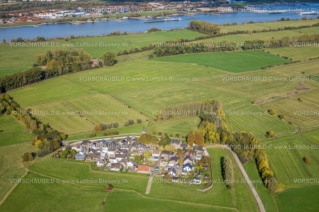 Kleve251005661 | Luftbild, Wohnsiedlung Ortsteil Schenkenschanz mit Hochwasserschutzmauer, Rheinüberflutungsfläche, umgeben von Wiesen und Feldern mit Fluss Rhein, evangelische Kirche Schenkenschanz, herbstliche Bäume, Schenkenschanz, Kleve, Niederrhein, Nordrhein-Westfalen, Deutschland