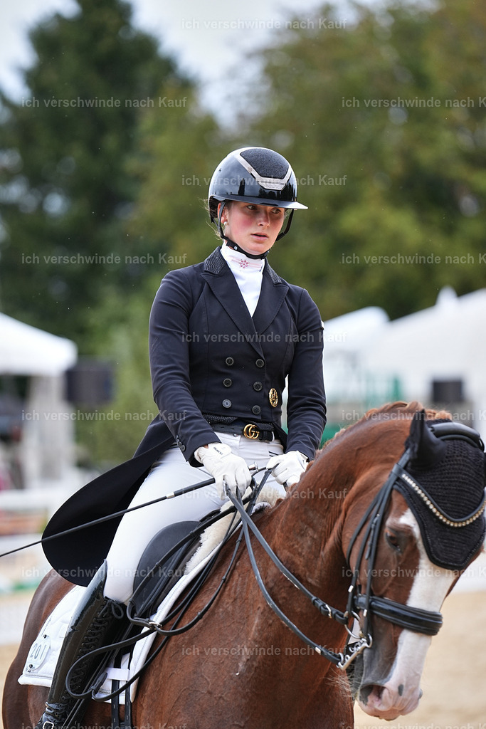 11-201-Dressur S___-Marixx-1768 | working equitationturnier fotograf videograf stoibphotography marixx film working equitation deutschland reitsport turnierfotografie eventfotografie equestrian events