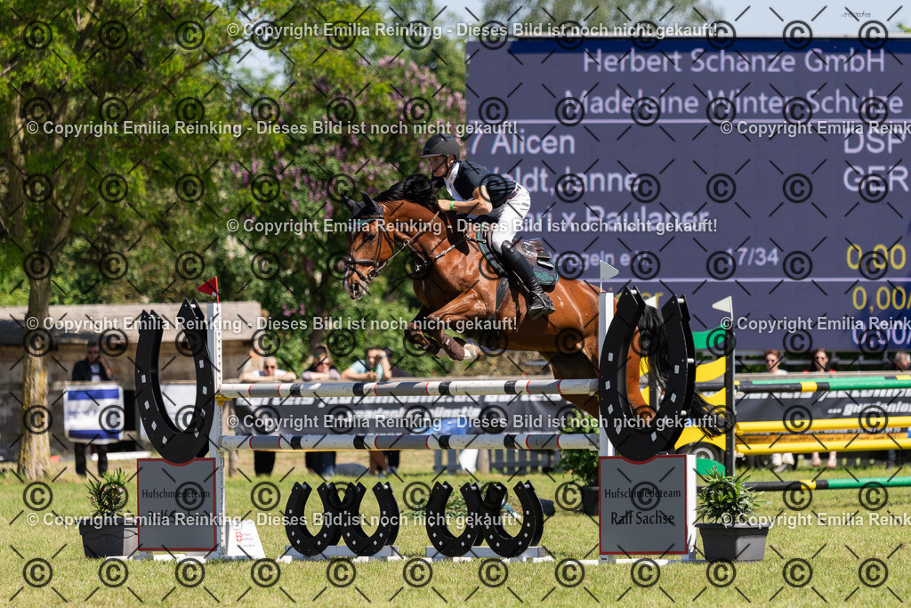 CL5A1190 | Emilia Reinking Fotografie - Realisiert mit Pictrs.com