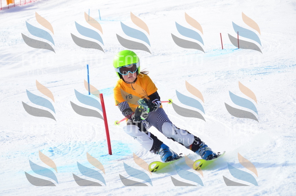 C7968 | holidayphoto