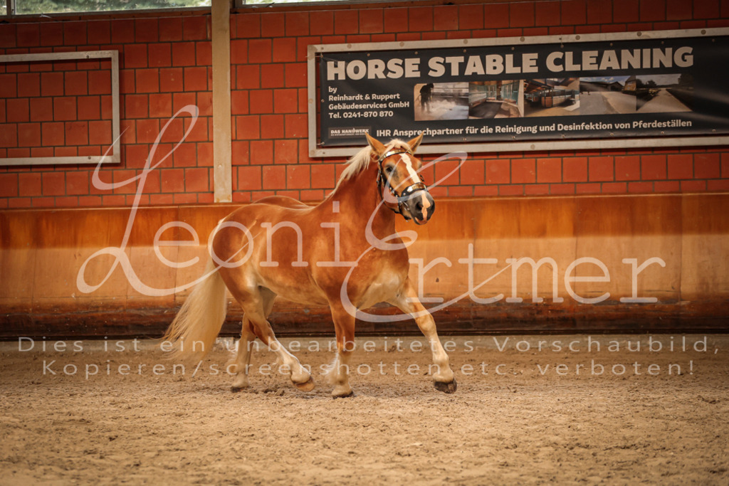 SaFL00231 | Leoni Ertmer Photography - Realisiert mit Pictrs.com