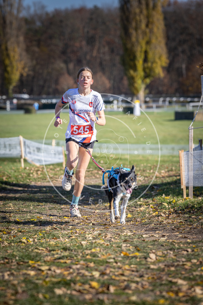 CaniXpix_DV3A8424 | Hundefotografie, Tierfotograf, Pfotenfotografie, Fotoshooting Hund, Hunde Portrait, Hundesport, Hundeportraits, Heideshooting, Hunde, Sportfotograf, Hundefotograf, Turnierhundsport, THS,  - Realisiert mit Pictrs.com