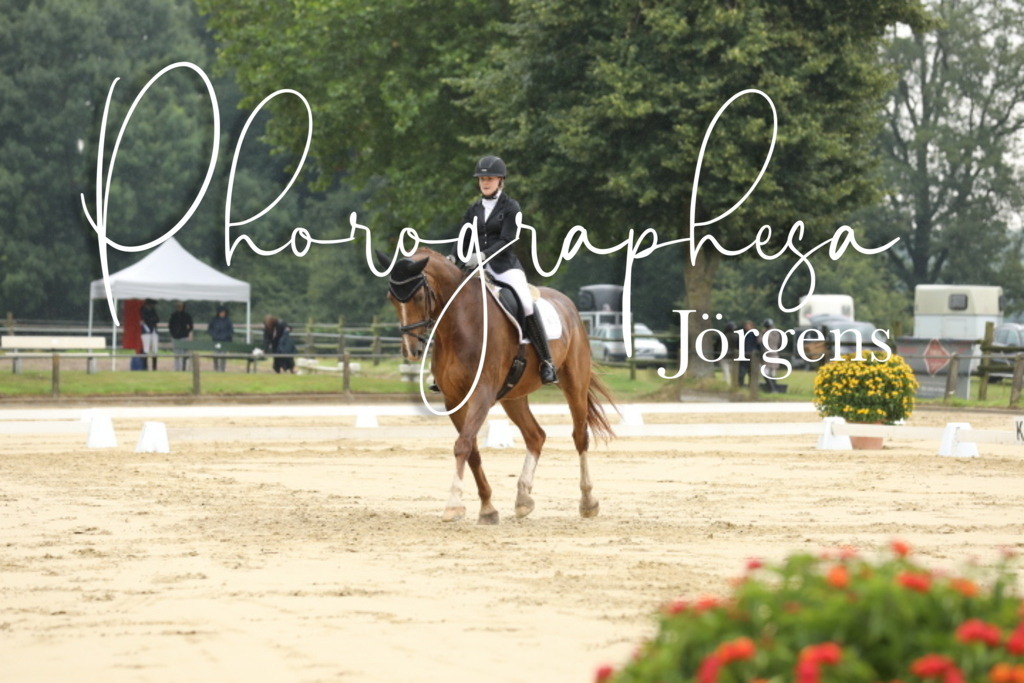 IMG_4970 | photographesa-joergens - Realisiert mit Pictrs.com