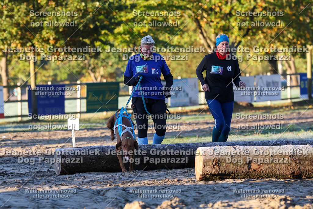 Dog Paparazzi - Strongdog 10-25-460 | Dog Paparazzi Jeanette Grottendiek Fotografie & Videografie - Realisiert mit Pictrs.com